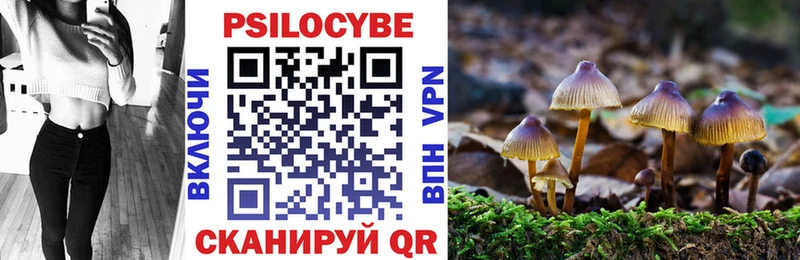 МЕГА онион  Кушва  Галлюциногенные грибы Psilocybine cubensis 