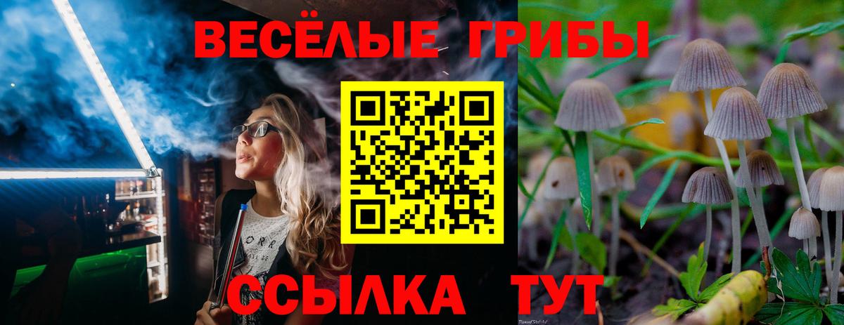 купить наркотики сайты  Вход с VPN  Кушва  Галлюциногенные грибы GOLDEN TEACHER 